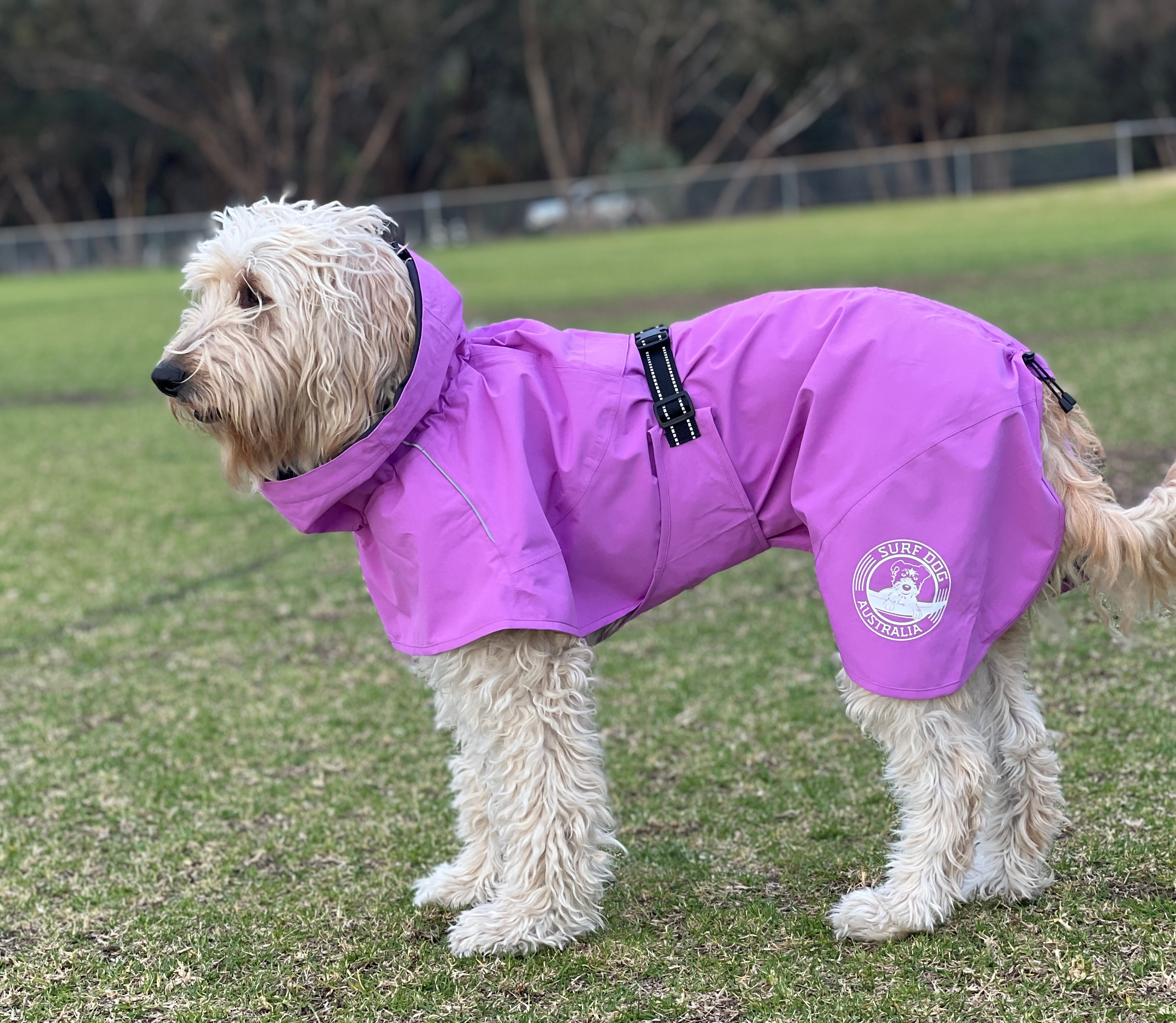 Dog raincoat that covers belly best sale