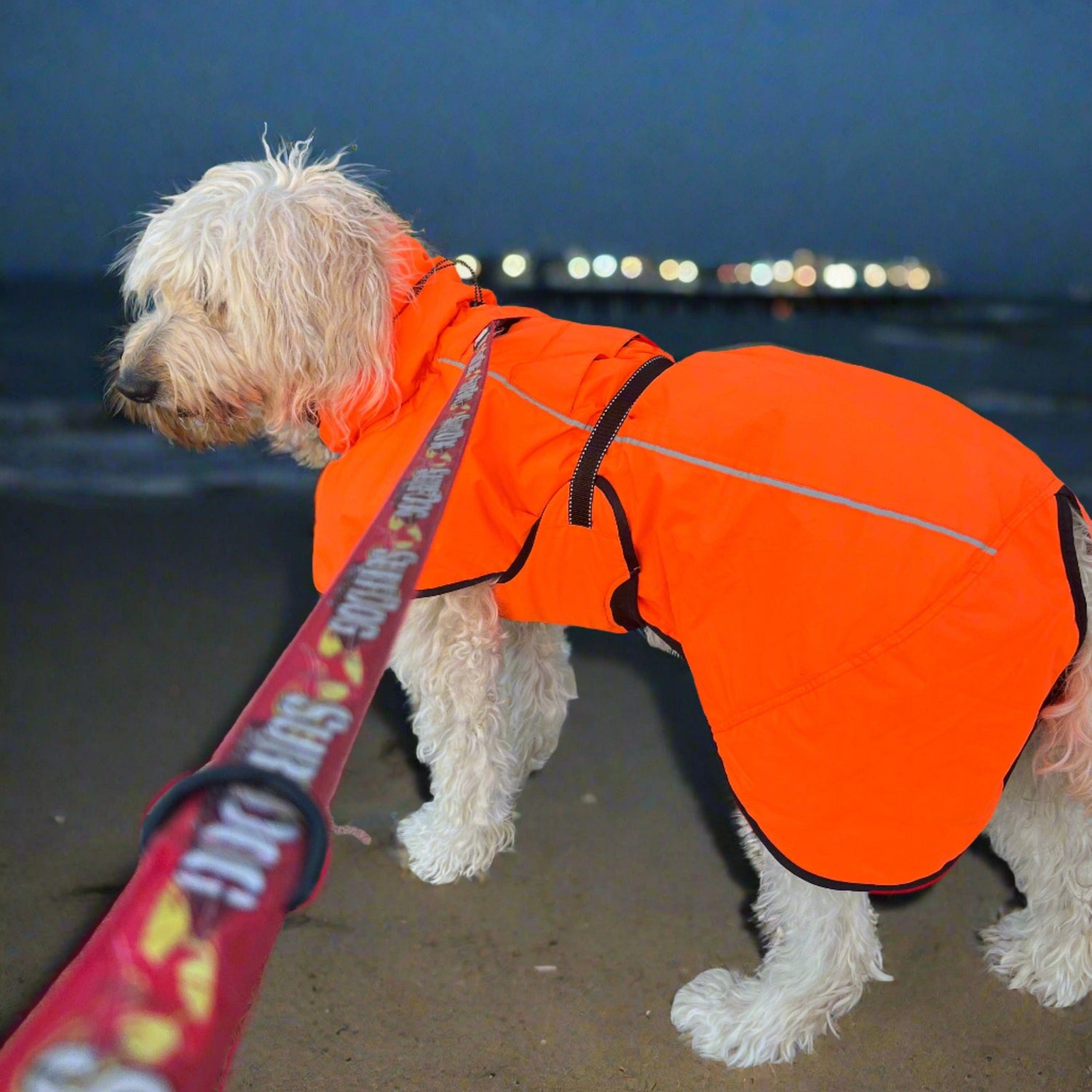 Surfdog Australia Coats for dogs Hi Vis Coat - The Glow