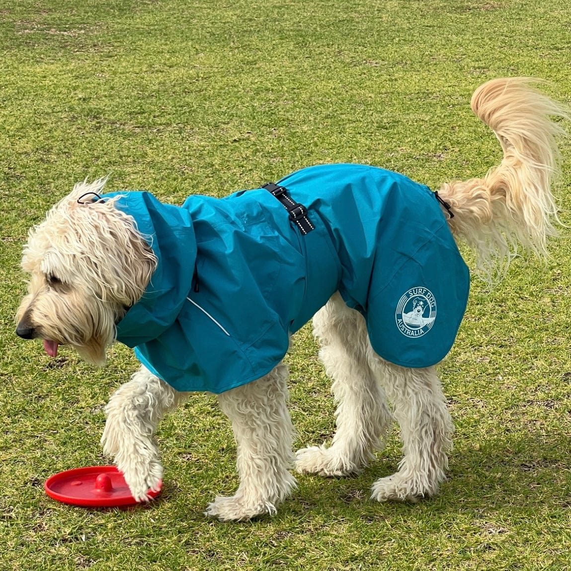 Raincoats for Dogs Surfdog Australia