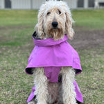 Surfdog Australia Dog raincoats Australia