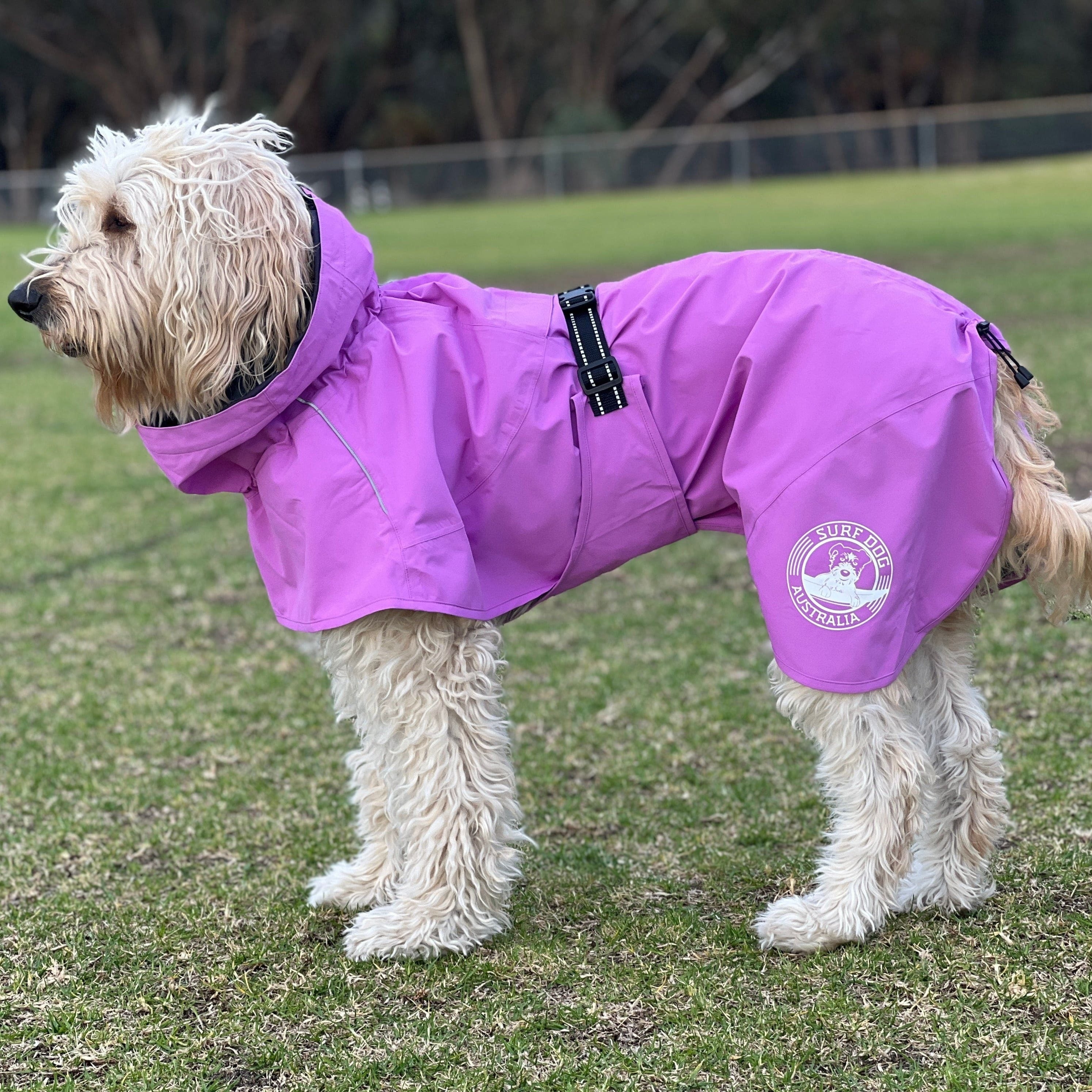 Full body raincoat for dogs hotsell