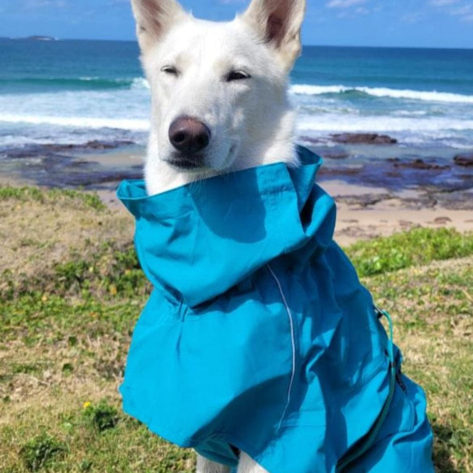 Surfdog Australia Dog Coat Raincoats for Dogs -Super