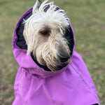 Surfdog Australia Dog Coat Raincoats for Dogs -Super