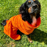 SurfDog Australia Dog Drying Coats Dog Drying Coat DC