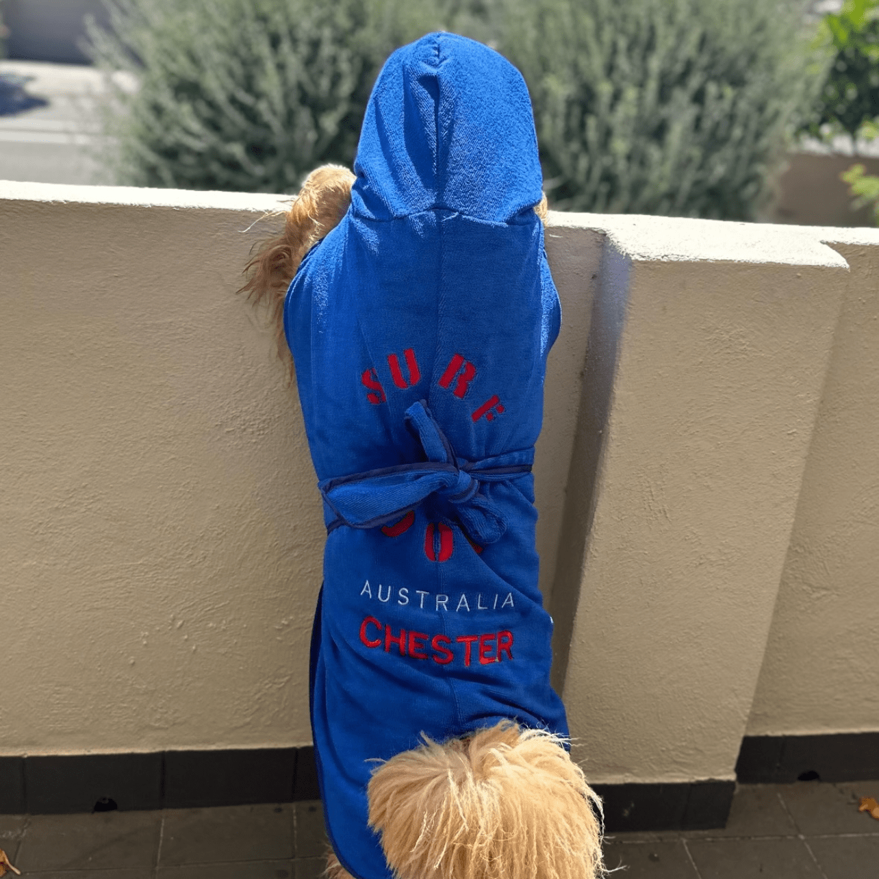 SurfDog Australia Dog Drying Coats Dog Drying Coat DC