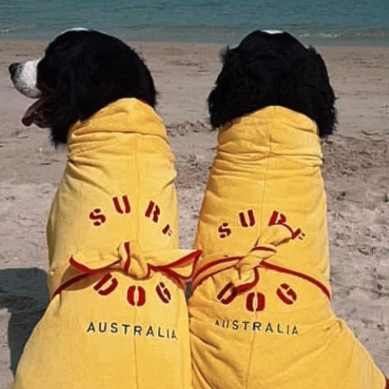 SurfDog Australia Dog Drying Coats Dog Drying Coat