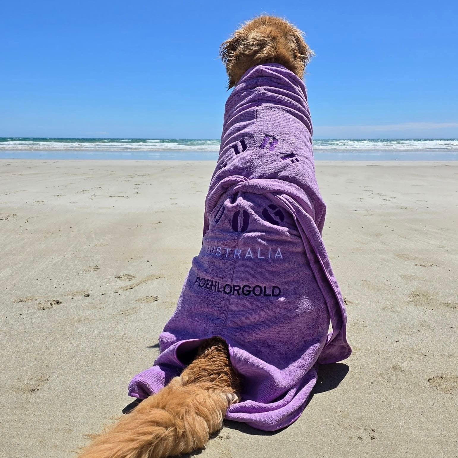 SurfDog Australia Dog Drying Coats Dog Drying Coat DC