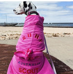 SurfDog Australia Dog Drying Coats Dog Drying Coat DC