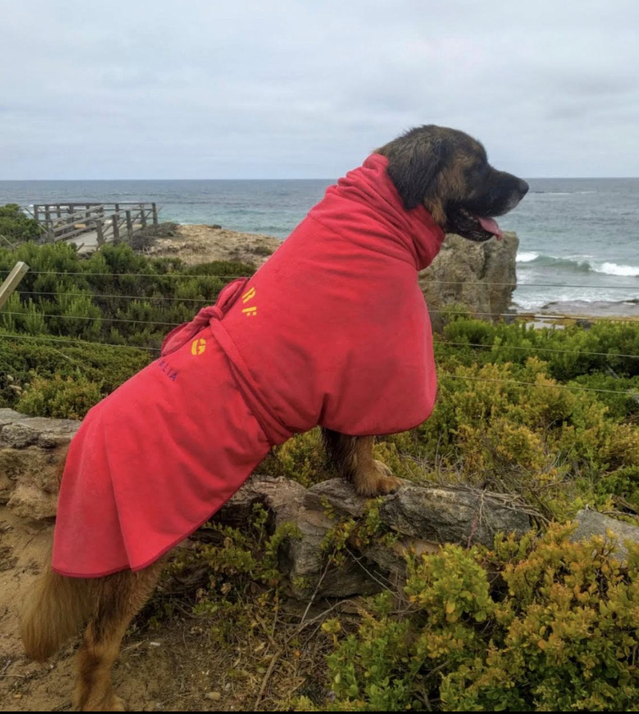 SurfDog Australia Dog Drying Coats Dog Drying Coat