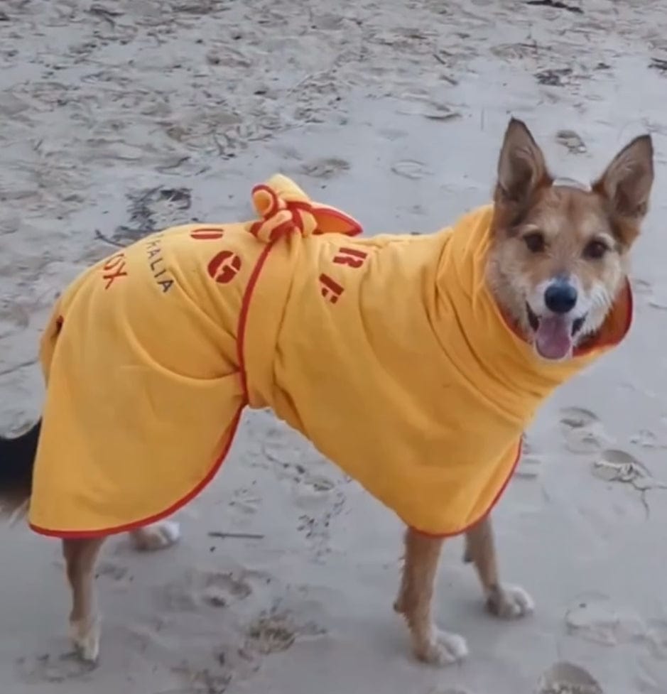 SurfDog Australia Dog Drying Coats Drying Coats for Dogs