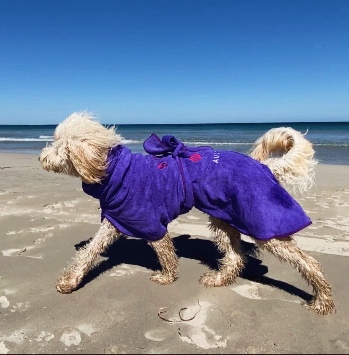 SurfDog Australia Dog Drying Coats Drying Coats for Dogs