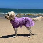 SurfDog Australia Dog Drying Coats Drying Coats for Dogs DC