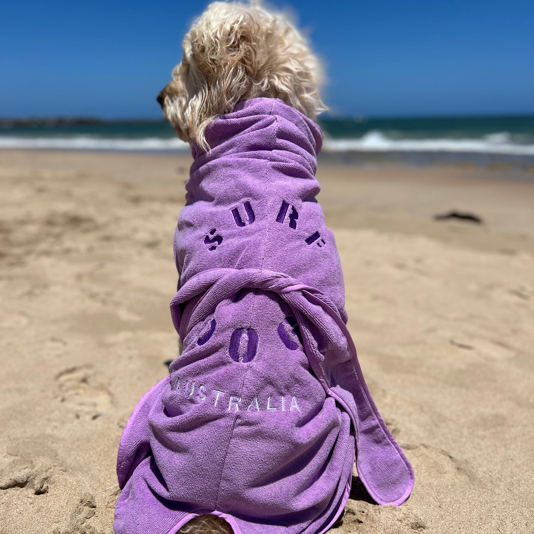 SurfDog Australia Dog Drying Coats Drying Coats for Dogs DC