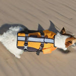 Surf Dog Australia Dog Lifejacket Dog Lifejacket Stunt