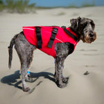 Surf Dog Australia Dog Lifejacket Dog Lifejacket Stunt