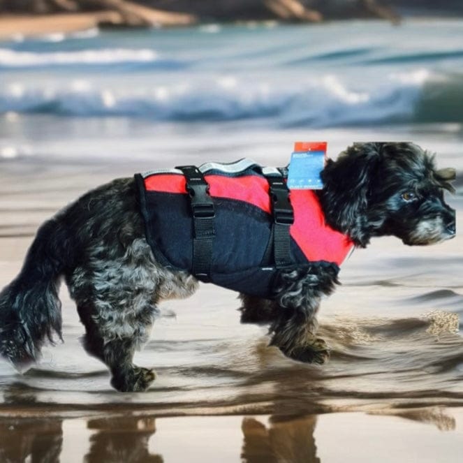 K9 life jacket best sale