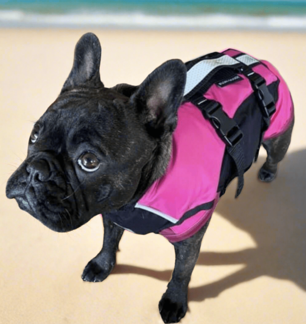 Surf Dog Australia Dog Lifejacket Dog Lifejackets