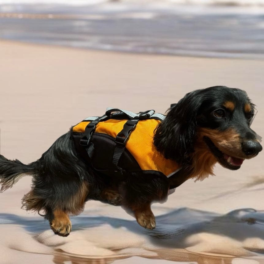 Surf Dog Australia Dog Lifejacket Dog Lifejackets