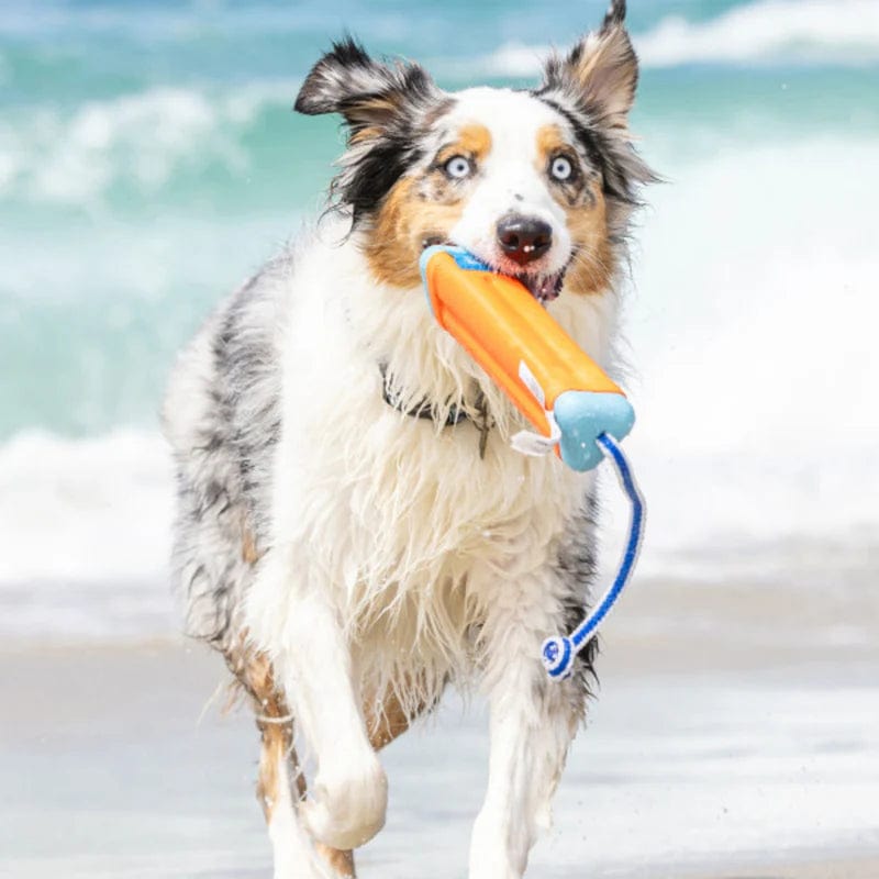 SurfDog Australia Dog Toy Toy - Amphibious Bumper