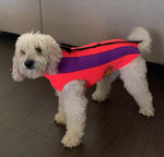 SurfDog Australia Dog Wetsuit Dog Wetsuit - Custom Dog Wetsuits