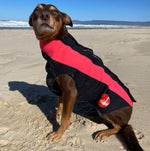 SurfDog Australia Dog Wetsuit Dog Wetsuit - Custom Dog Wetsuits