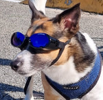 Surf Dog Australia Doggles Dog Sunglasses Doggles - Dog Sunglasses