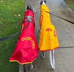 SurfDog Australia Raincoats for dogs Raincoats for Dogs FREE walk