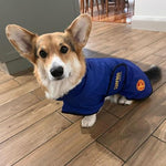 SurfDog Australia Raincoats for dogs Raincoats for Dogs FREE walk