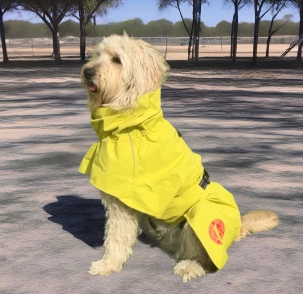 Rain jacket for dogs online