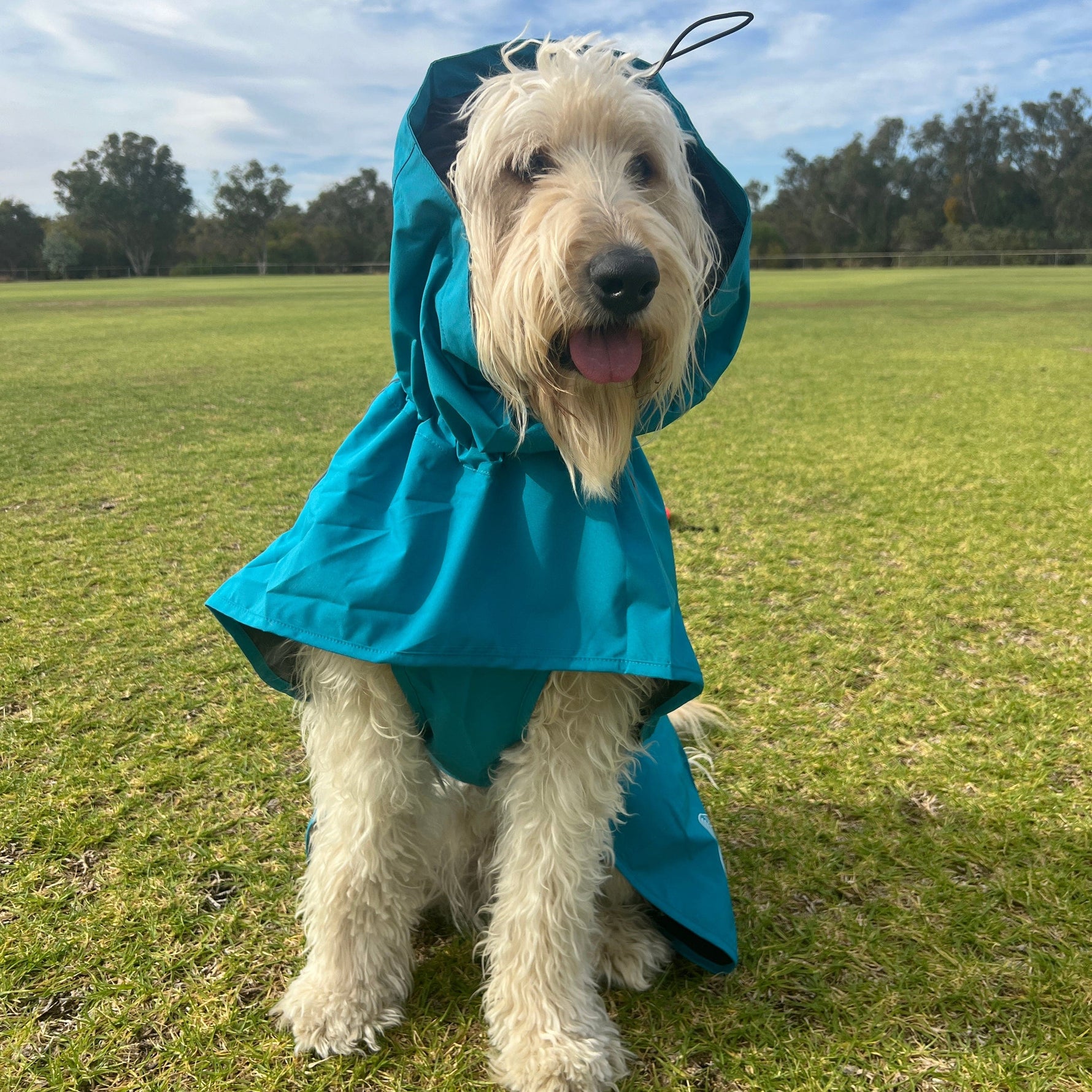 Surfdog Australia Raincoats for dogs Raincoats for Dogs -Super SUPR