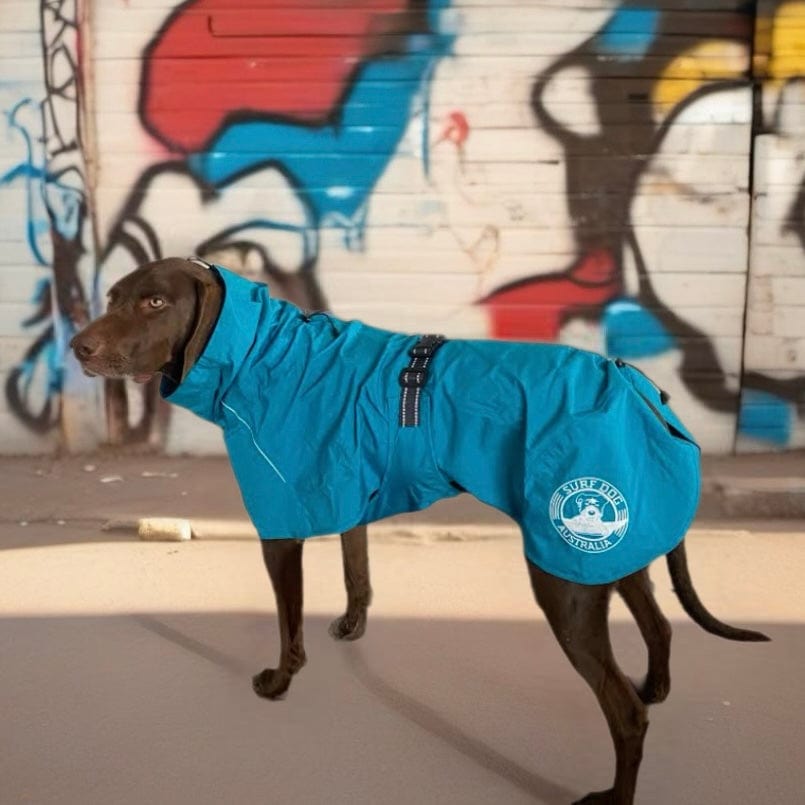 Surfdog Australia Raincoats for dogs Raincoats for Dogs -Super SUPR