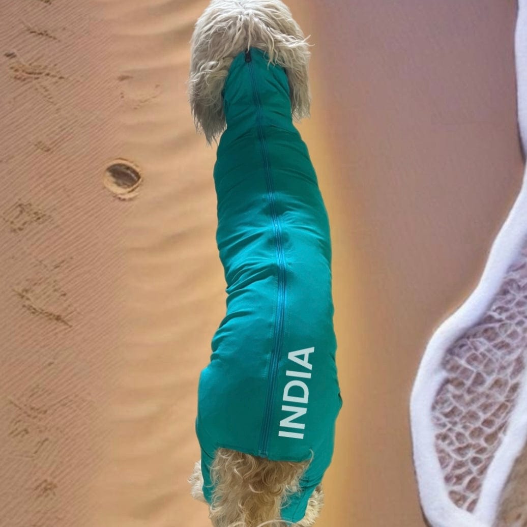 Surfdog Australia Rashies for dogs The Aqua BodySuit for Dogs