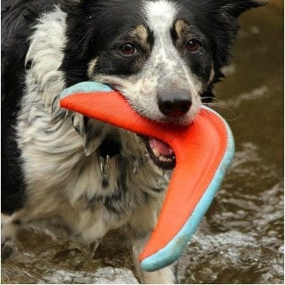 Surfdog Australia Amphibious Boomerang  Toy