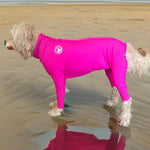 Surfdog Australia Dog Body Suit Surfdog Superfit LSRASH