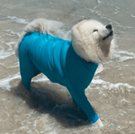 Surfdog Australia Dog Body Suit Surfdog Superfit