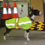 Surfdog Australia Dog Coat Hi Visibility