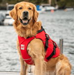 Surfdog Australia Dog Lifejacket Buoyancy Aid