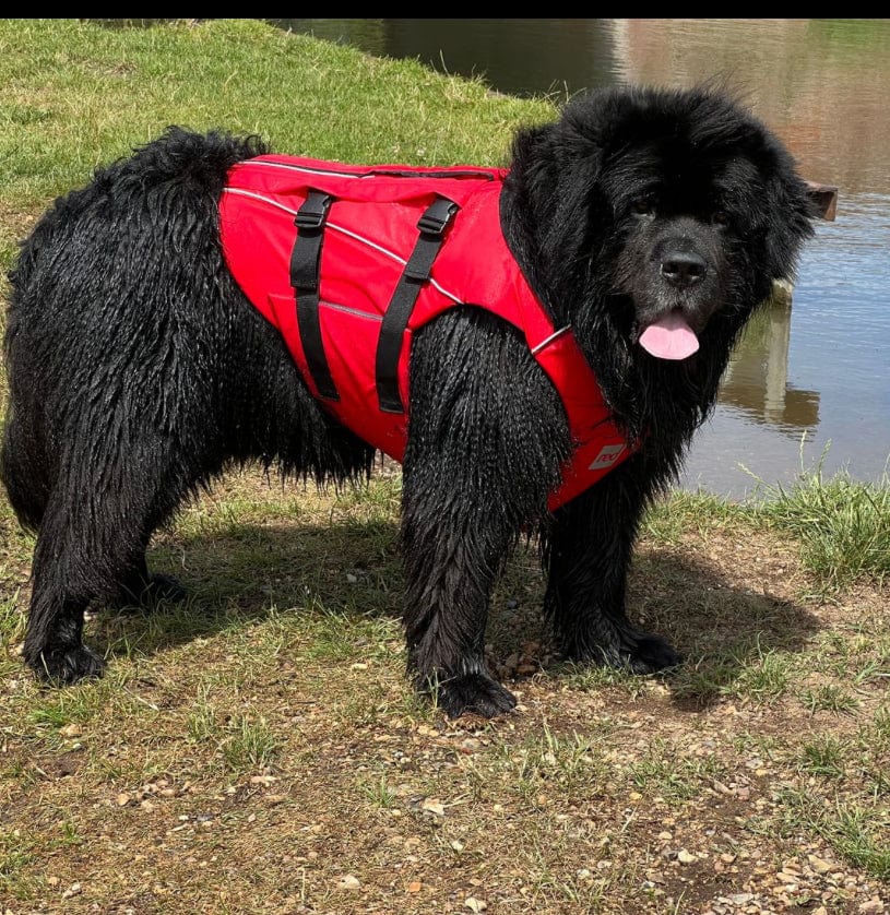 Surfdog Australia Dog Lifejacket Buoyancy Aid