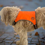 Surfdog Australia Hi Vest Vest - Mini