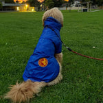 SurfDog Australia Raincoats for Dogs. FREE walk