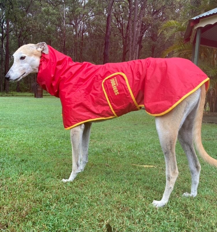 Greyhound raincoat best sale