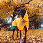 SurfDog Australia Raincoats for Dogs FREE walk