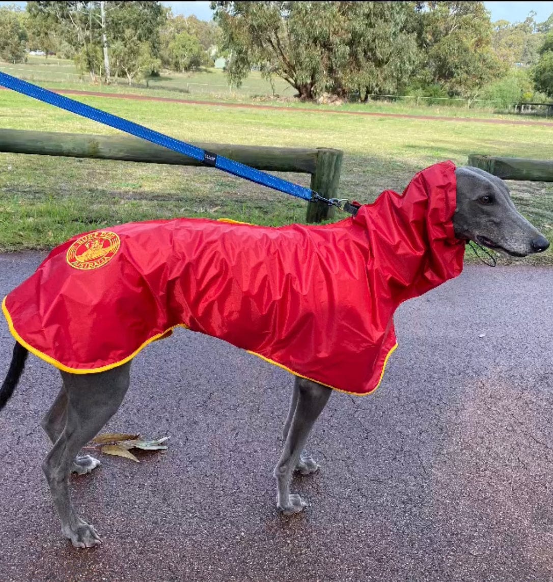 SurfDog Australia Raincoats for Dogs FREE walk