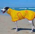 SurfDog Australia Raincoats for Dogs FREE walk 1002019