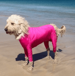 Surfdog Australia Rashie for Dogs Long sleeved