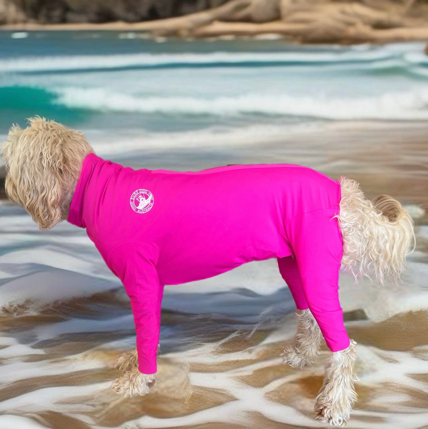 Surfdog Australia Rashie for dogs Long Sleeved Superdog