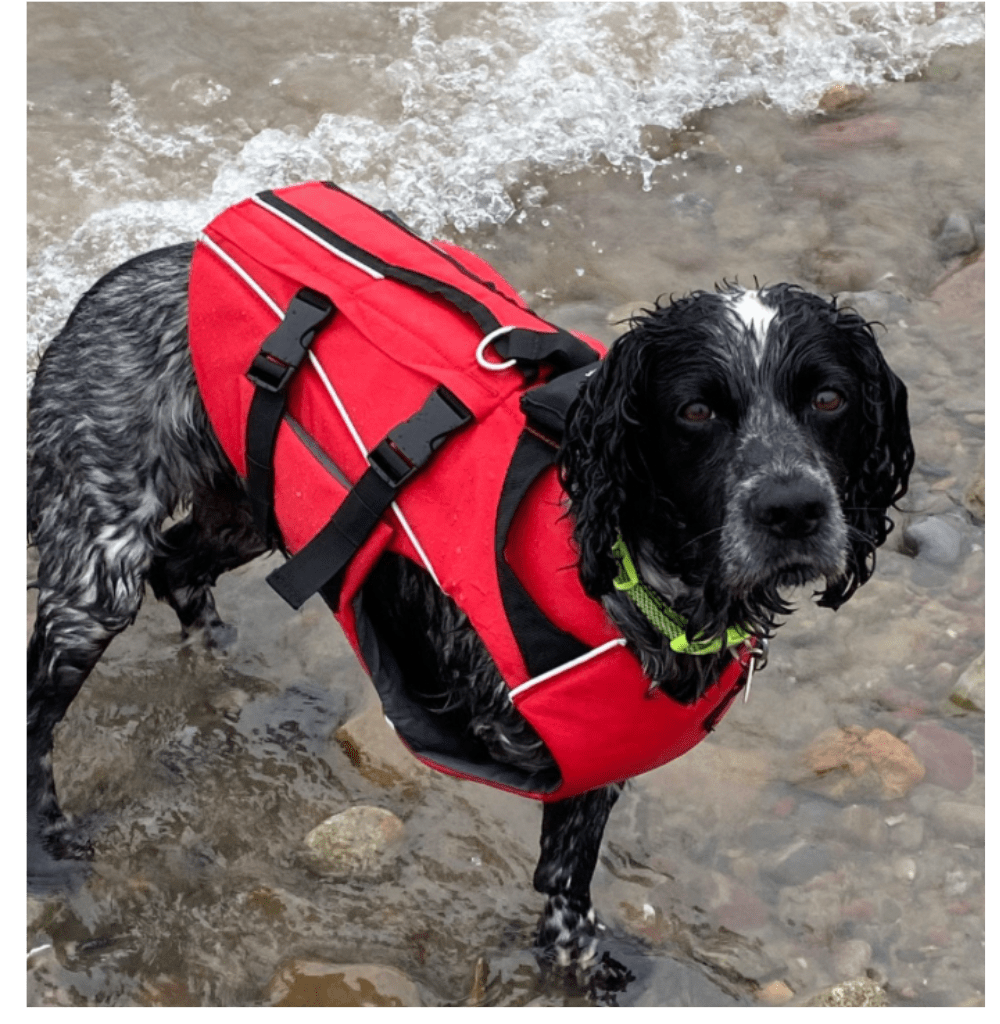 Surfdog Australia Red Dog Buoyancy Aid