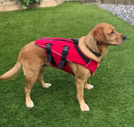 Surfdog Australia Red Dog Buoyancy Aid