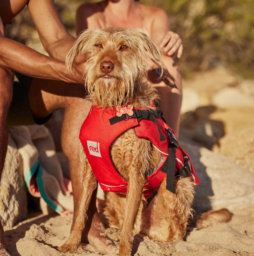 Surfdog Australia Red Dog Buoyancy Aid