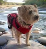 Surfdog Australia Red Dog Buoyancy Aid